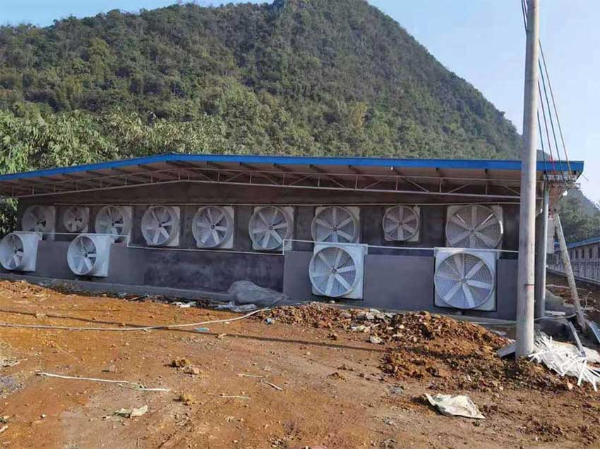 養(yǎng)豬場降溫解決方案